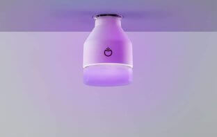 Amazon Prime Day: LIFX Leuchtmittel für kurze Zeit reduziert